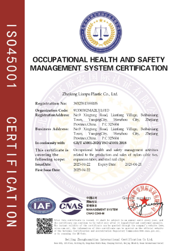 ISO 45001 Occupational Health and Safety Management System Certification