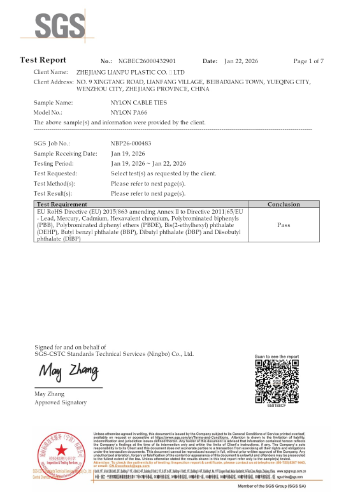 RoHS Test Report